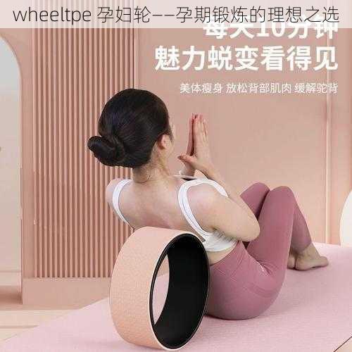 wheeltpe 孕妇轮——孕期锻炼的理想之选