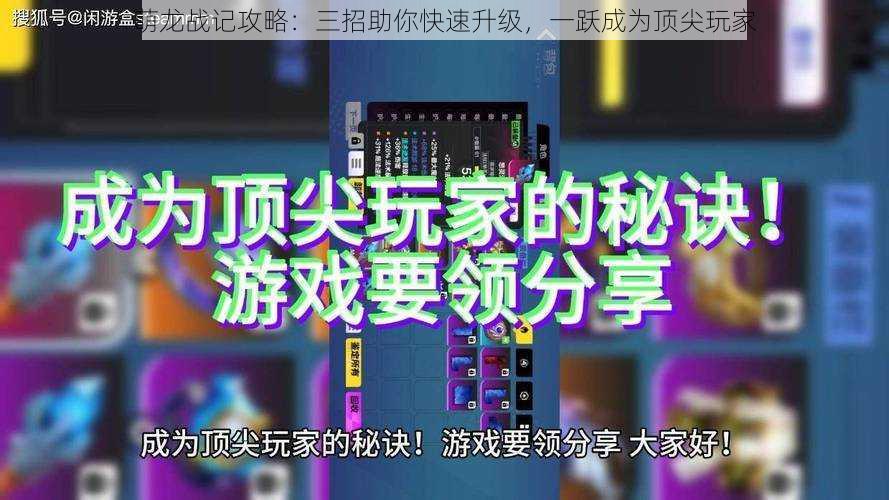 萌龙战记攻略：三招助你快速升级，一跃成为顶尖玩家