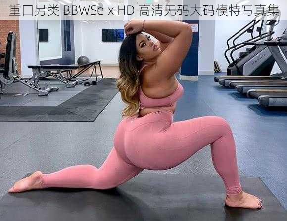 重囗另类 BBWSeⅹHD 高清无码大码模特写真集