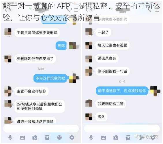 能一对一黄聊的 APP，提供私密、安全的互动体验，让你与心仪对象畅所欲言