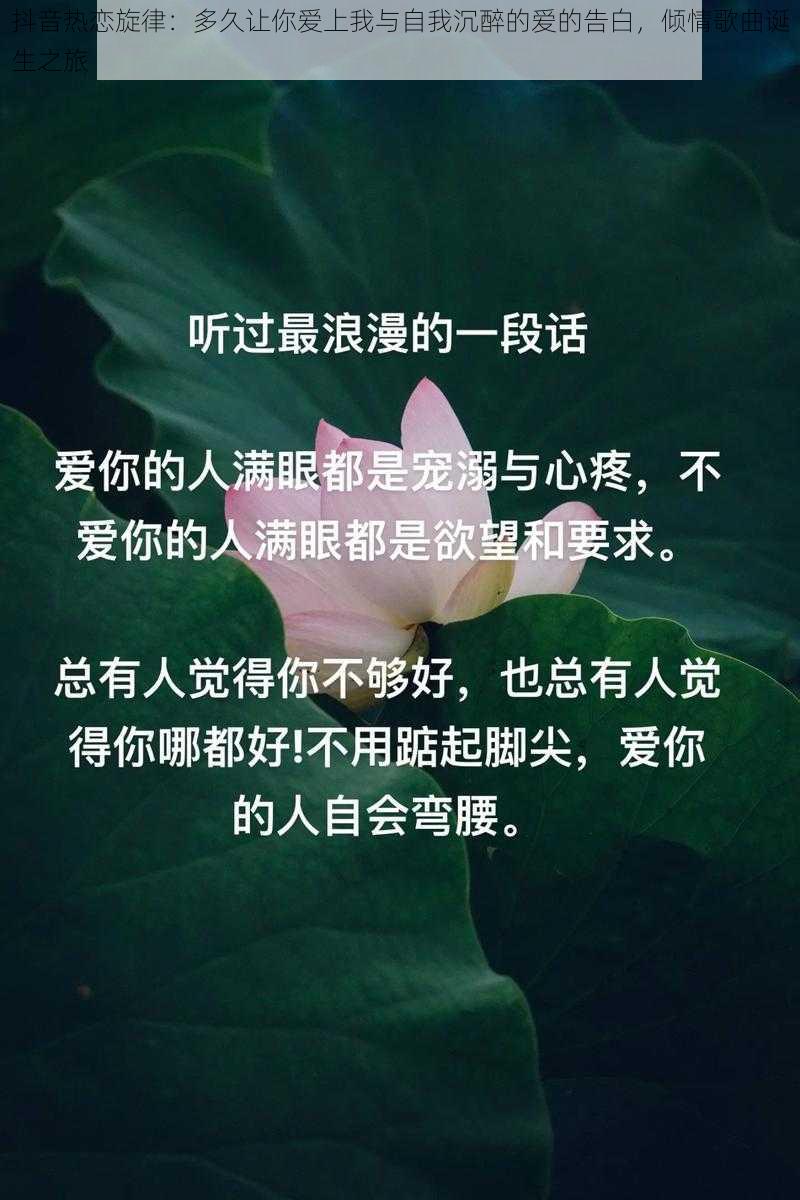 抖音热恋旋律：多久让你爱上我与自我沉醉的爱的告白，倾情歌曲诞生之旅