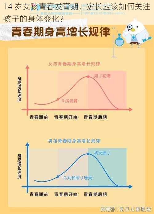 14 岁女孩青春发育期，家长应该如何关注孩子的身体变化？