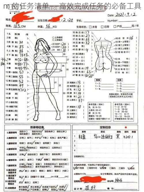 m 的任务清单——高效完成任务的必备工具