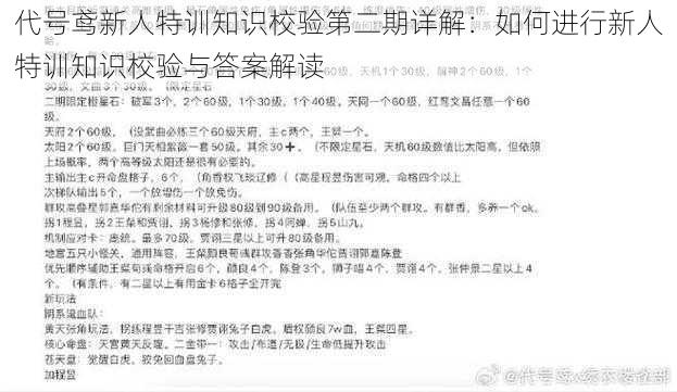 代号鸢新人特训知识校验第二期详解：如何进行新人特训知识校验与答案解读