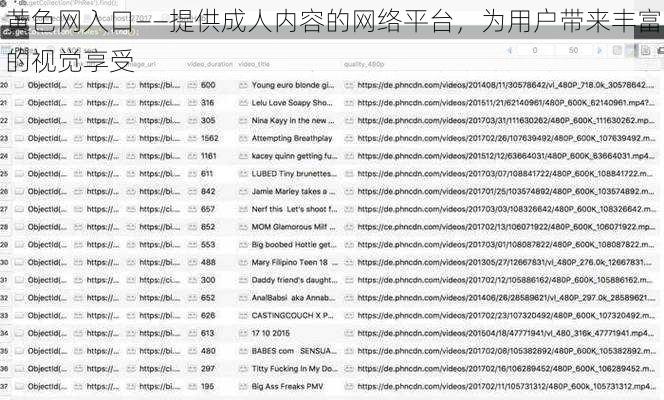 黄色网入口——提供成人内容的网络平台，为用户带来丰富的视觉享受