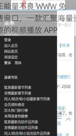 正能量不良 WWW 免费窗口，一款汇聚海量资源的视频播放 APP