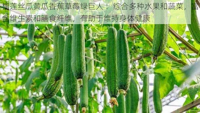 榴莲丝瓜黄瓜香蕉草莓绿巨人 ：综合多种水果和蔬菜，富含维生素和膳食纤维，有助于维持身体健康