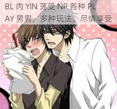 BL 肉 YIN 荡受 NP 各种 PLAY 男男，多种玩法，尽情享受