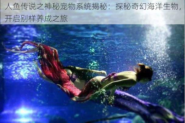 人鱼传说之神秘宠物系统揭秘：探秘奇幻海洋生物，开启别样养成之旅