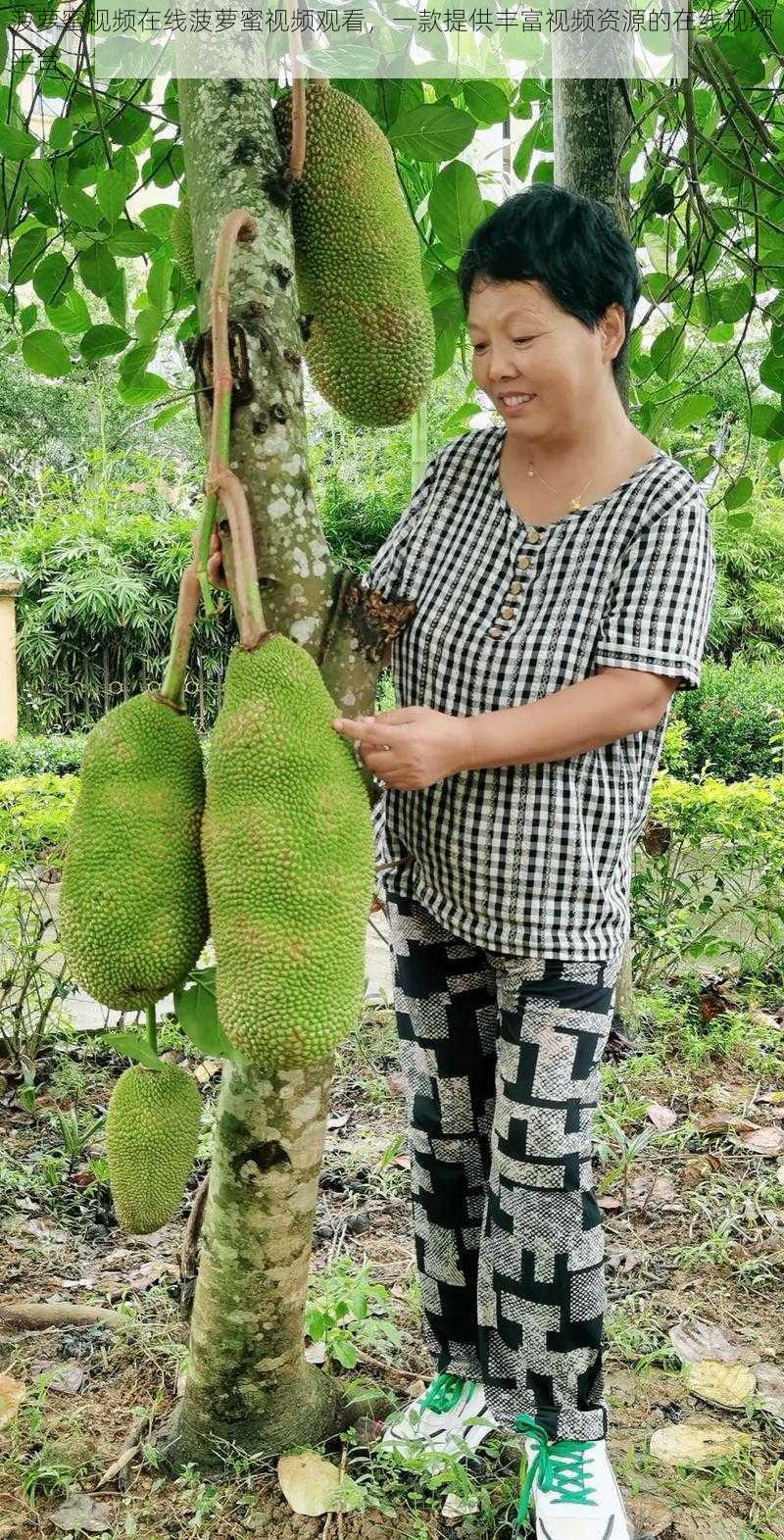 菠萝蜜视频在线菠萝蜜视频观看，一款提供丰富视频资源的在线视频平台