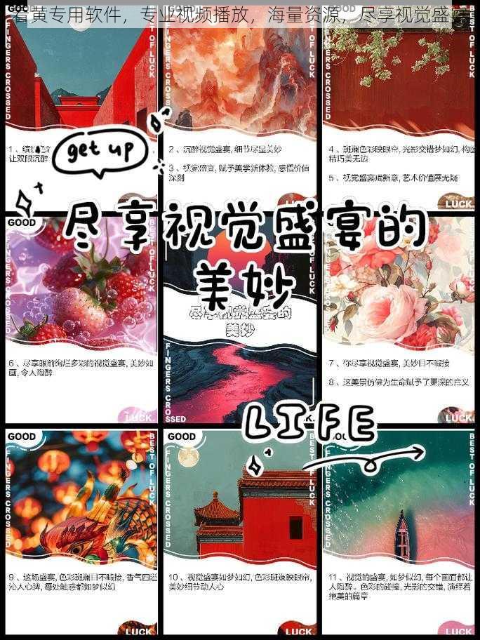 看黄专用软件，专业视频播放，海量资源，尽享视觉盛宴