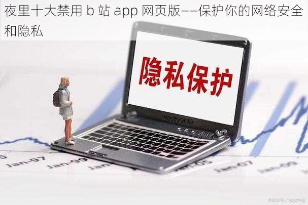 夜里十大禁用 b 站 app 网页版——保护你的网络安全和隐私