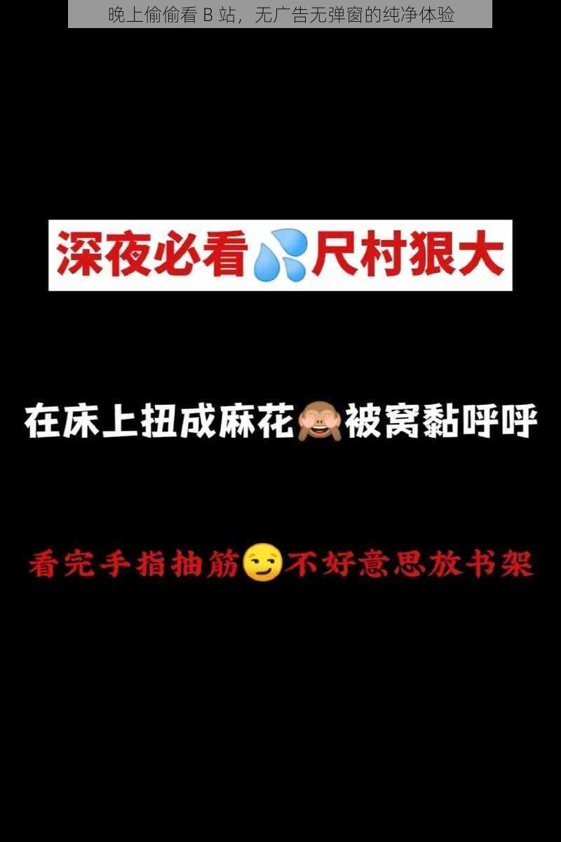 晚上偷偷看 B 站，无广告无弹窗的纯净体验