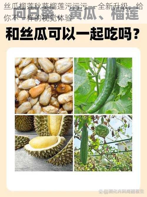 丝瓜榴莲秋葵榴莲污污污——全新升级，给你不一样的视觉体验