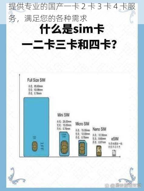 提供专业的国产一卡 2 卡 3 卡 4 卡服务，满足您的各种需求