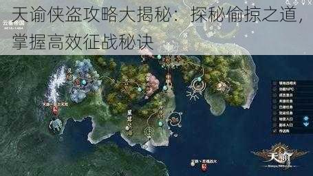 天谕侠盗攻略大揭秘：探秘偷掠之道，掌握高效征战秘诀