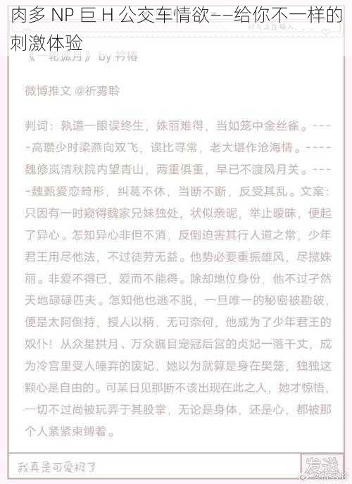 肉多 NP 巨 H 公交车情欲——给你不一样的刺激体验