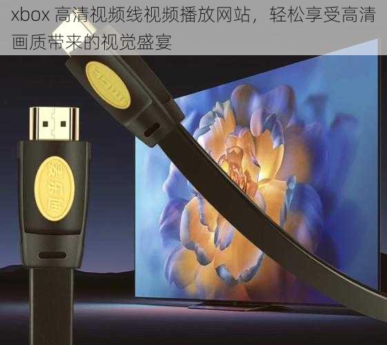 xbox 高清视频线视频播放网站，轻松享受高清画质带来的视觉盛宴