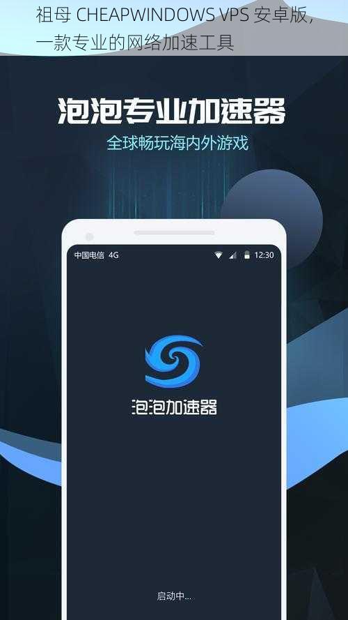 祖母 CHEAPWINDOWS VPS 安卓版，一款专业的网络加速工具