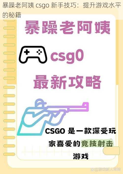 暴躁老阿姨 csgo 新手技巧：提升游戏水平的秘籍