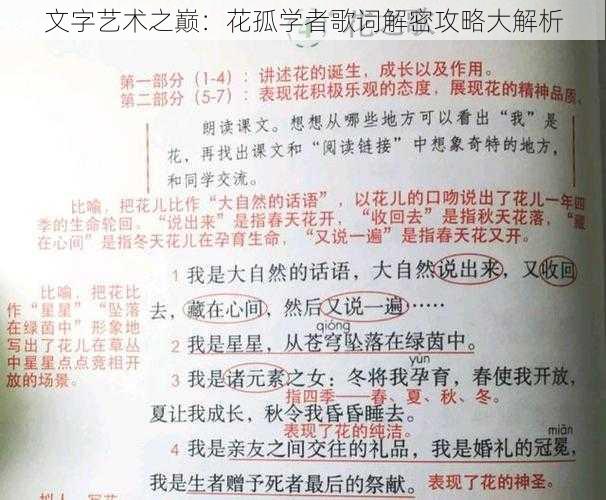 文字艺术之巅：花孤学者歌词解密攻略大解析