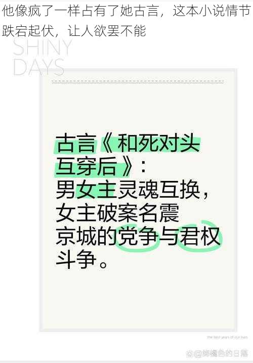 他像疯了一样占有了她古言，这本小说情节跌宕起伏，让人欲罢不能