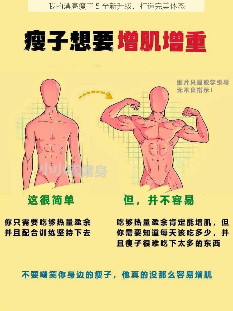 我的漂亮瘦子 5 全新升级，打造完美体态