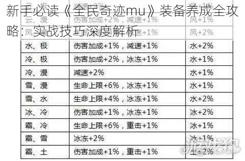 新手必读《全民奇迹mu》装备养成全攻略：实战技巧深度解析