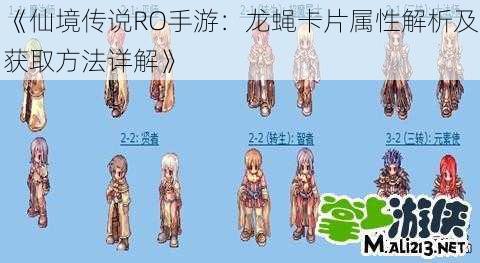 《仙境传说RO手游：龙蝇卡片属性解析及获取方法详解》