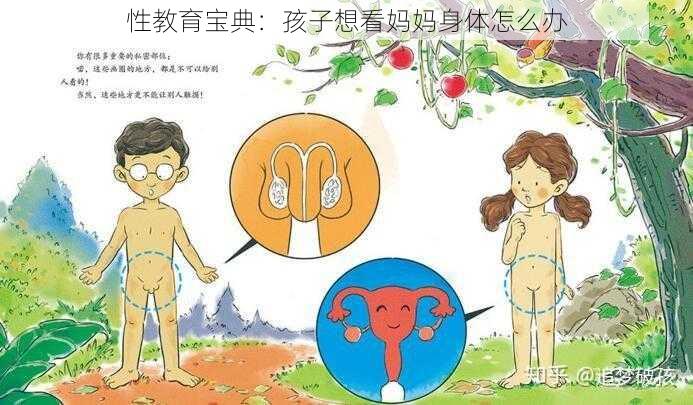 性教育宝典：孩子想看妈妈身体怎么办