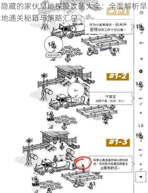 隐藏的家伙旱地探险攻略大全：全面解析旱地通关秘籍与策略汇总