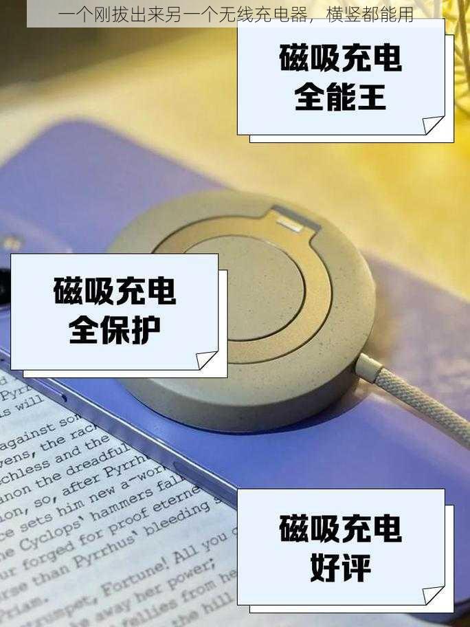 一个刚拔出来另一个无线充电器，横竖都能用