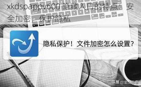 xkdspappv600 隐藏入口的特点：安全加密，保护隐私