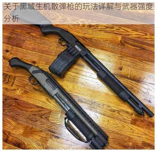 关于黑域生机散弹枪的玩法详解与武器强度分析