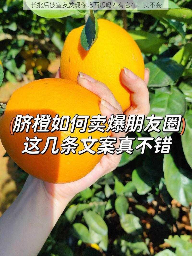 长批后被室友发现你吃西瓜吗？有它在，就不会