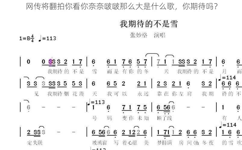 网传将翻拍你看你奈奈啵啵那么大是什么歌，你期待吗？