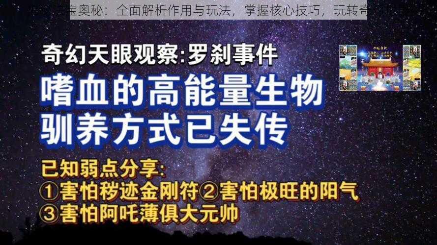 揭秘法宝奥秘：全面解析作用与玩法，掌握核心技巧，玩转奇幻世界