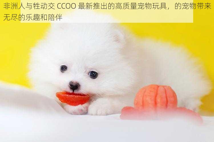 非洲人与牲动交 CCOO 最新推出的高质量宠物玩具，的宠物带来无尽的乐趣和陪伴