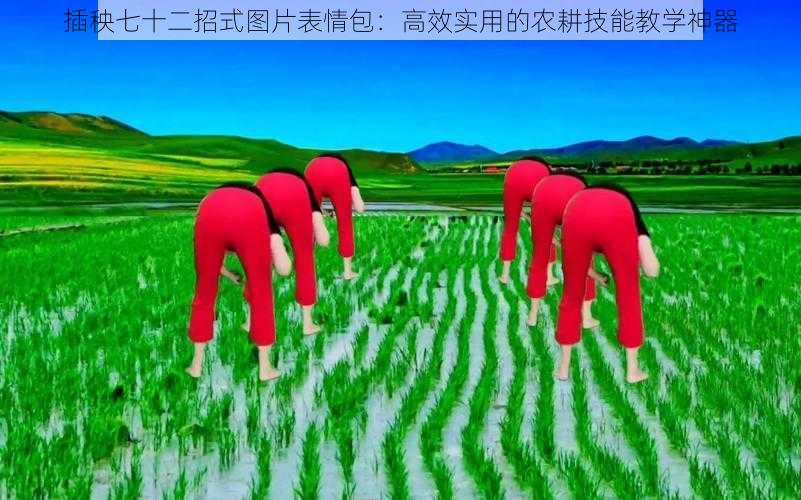 插秧七十二招式图片表情包：高效实用的农耕技能教学神器