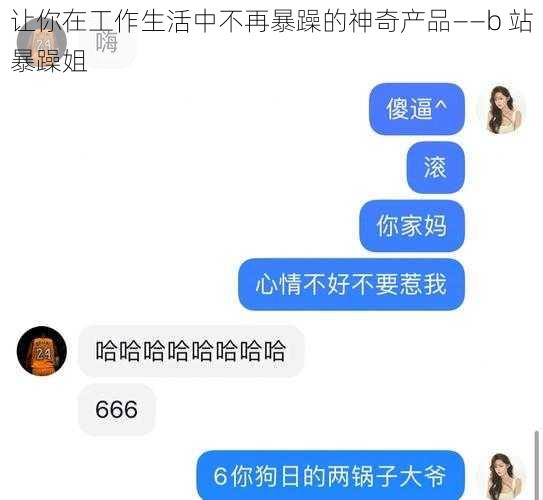 让你在工作生活中不再暴躁的神奇产品——b 站暴躁姐