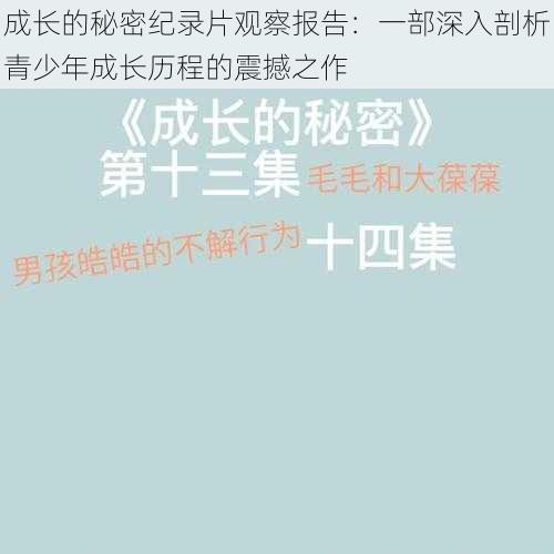 成长的秘密纪录片观察报告：一部深入剖析青少年成长历程的震撼之作