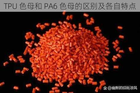 TPU 色母和 PA6 色母的区别及各自特点