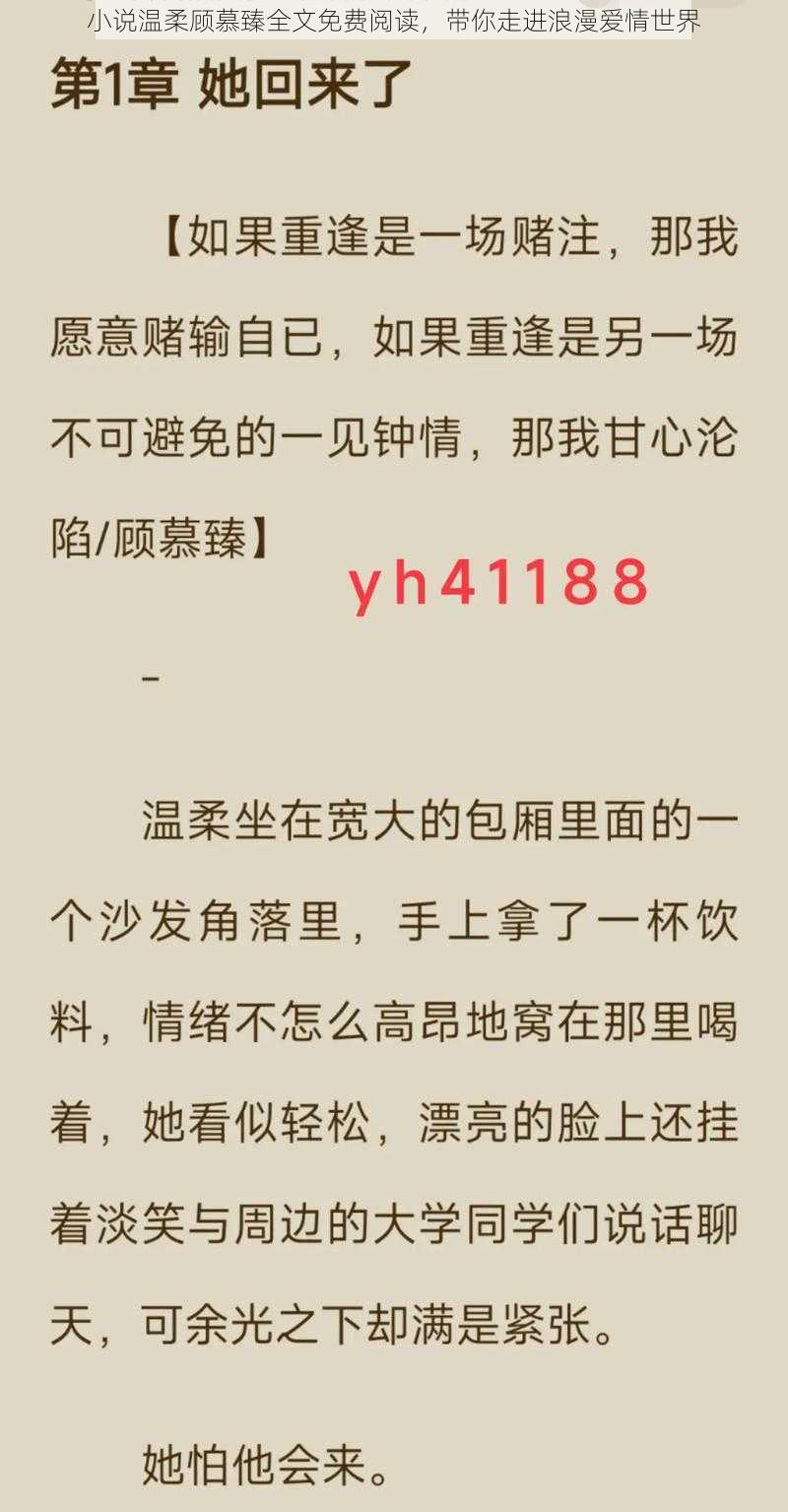 小说温柔顾慕臻全文免费阅读，带你走进浪漫爱情世界