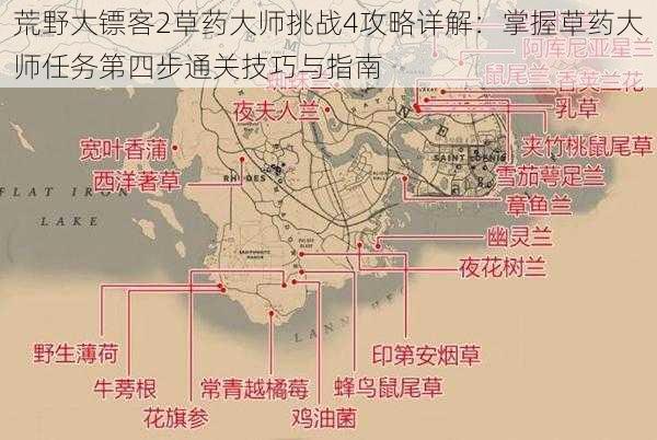 荒野大镖客2草药大师挑战4攻略详解：掌握草药大师任务第四步通关技巧与指南