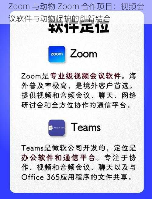 Zoom 与动物 Zoom 合作项目：视频会议软件与动物保护的创新结合