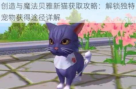 创造与魔法贝雅新猫获取攻略：解锁独特宠物获得途径详解