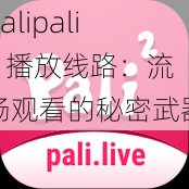 palipali2 播放线路：流畅观看的秘密武器