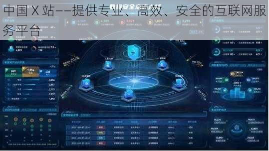 中国 X 站——提供专业、高效、安全的互联网服务平台