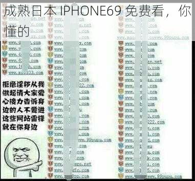 成熟日本 IPHONE69 免费看，你懂的