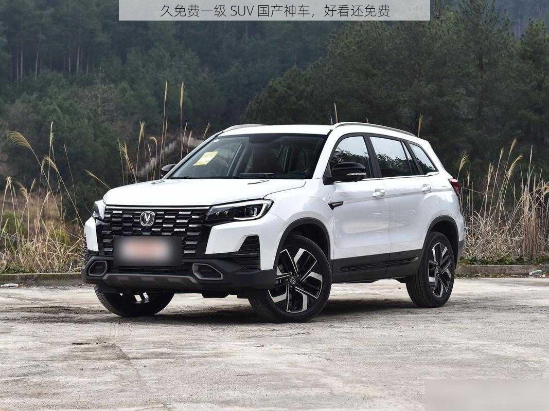 久免费一级 SUV 国产神车，好看还免费